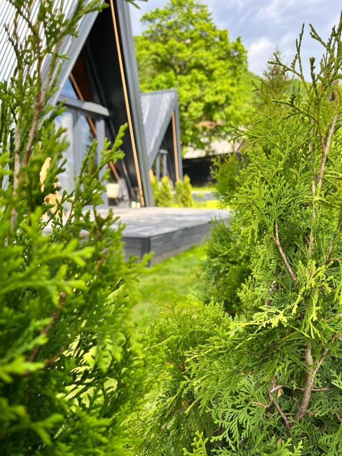 Chalet Loon Moon Mountain Sarajevo